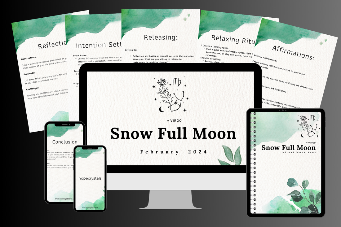The Snow Full Moon Digital Workbook in Virgo 2024